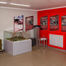 Виртуальная экскурсия. Музей поискового движения города Десногорска